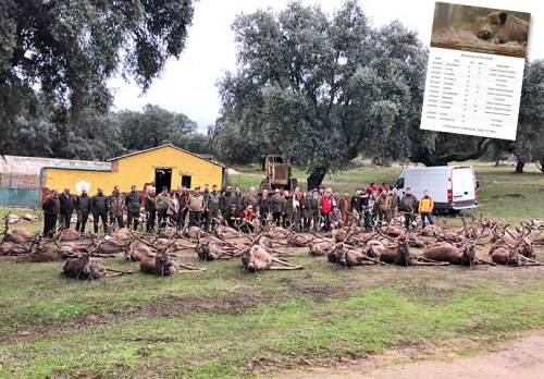 Bosques y Caza